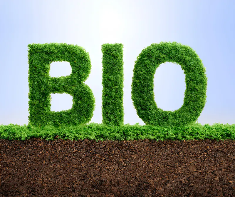 Biodegradable Non-woven Fabric Material