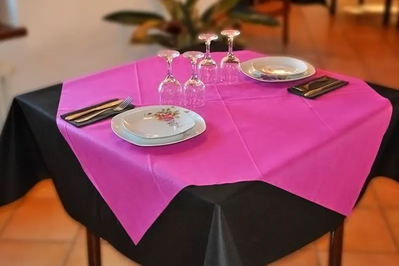 Disposable Nonwoven Tablecloth
