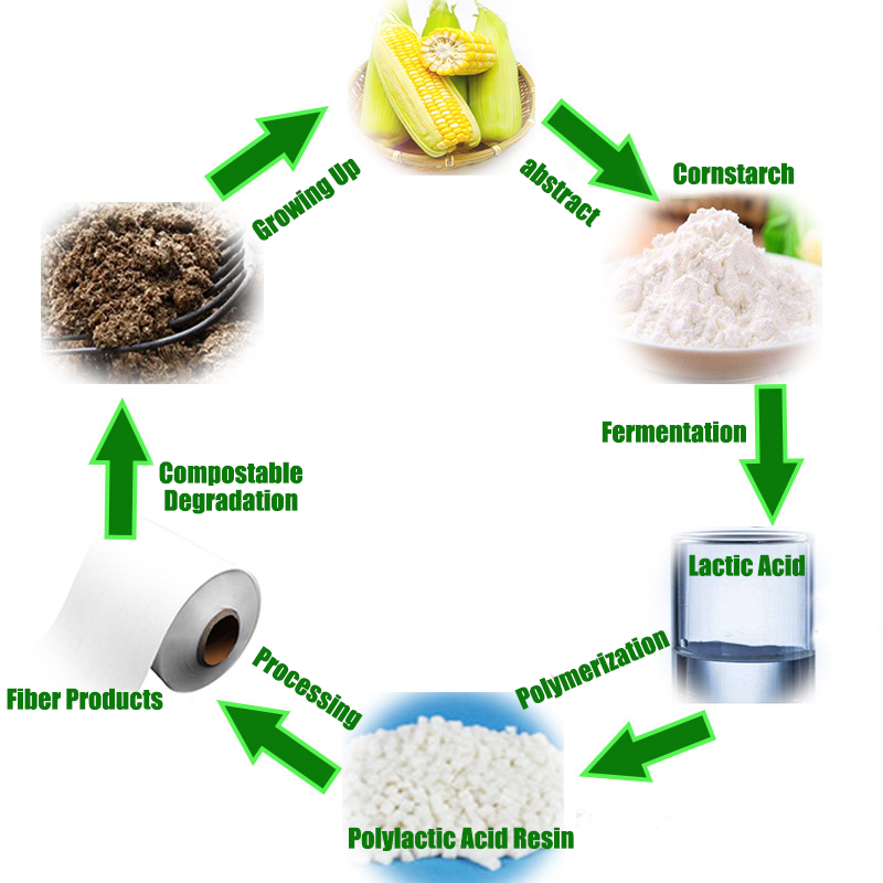 The Formation and Closed-Loop Recycling of PLA: Through the extraction of starch from corn, its fermentation into lactic acid, and subsequent polymerization into polylactic acid resin, PLA non-woven fabric is produced—an eco-friendly, biodegradable material.