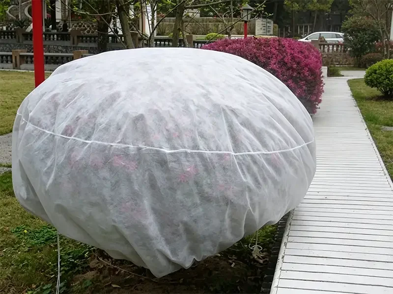 Takewind non woven plant frost cover bag in real garden scene, drawstring plant winter protection jacket for shrubs and bushes