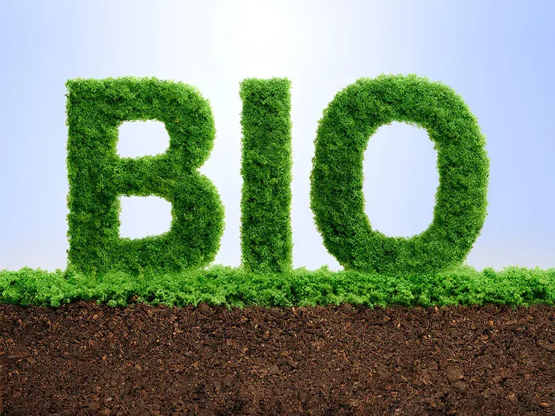 Biodegradable Non-woven Fabric Material