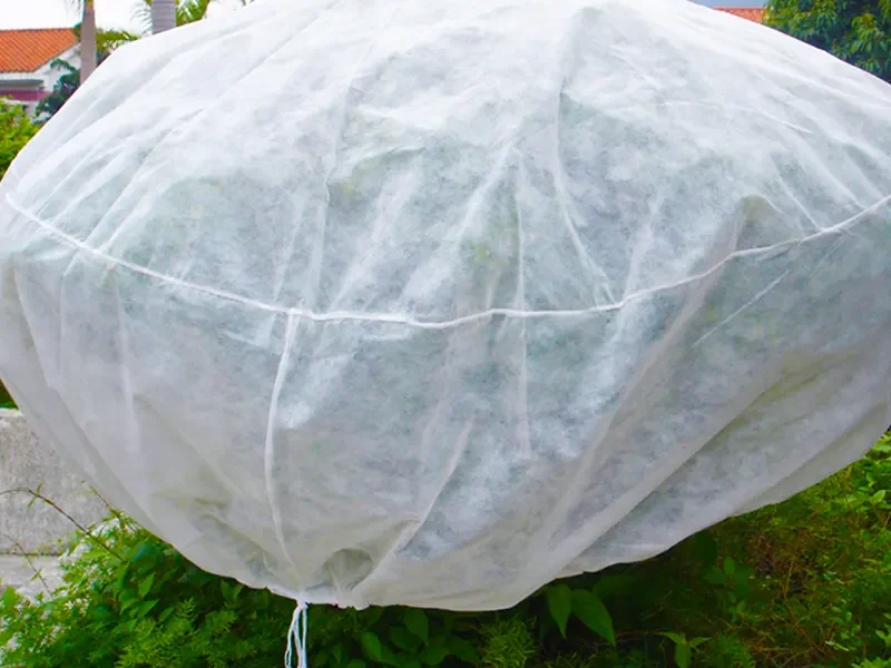 Takewind drawstring non woven plant tree cover bag for anti-bird, insect proof and winter wind & frost shielding