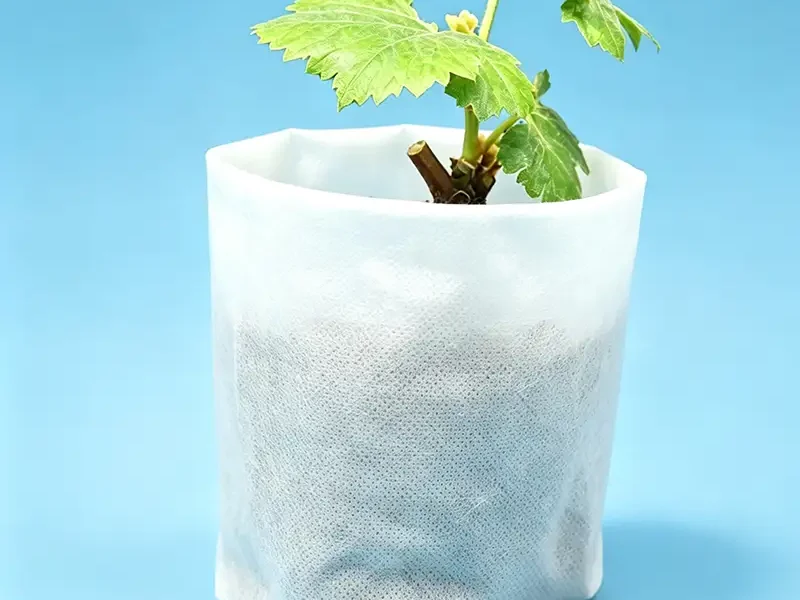 Takewind degradable non woven seedling grow bag for grape sapling and plant transplantation